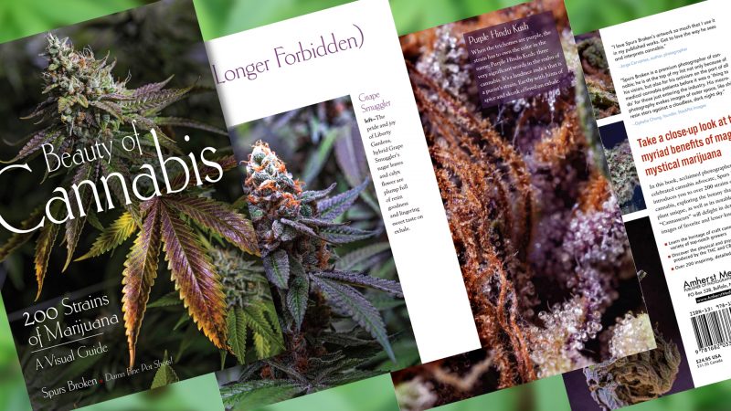 Sneak Peek at Beauty of Cannabis Book by Spurs Broken