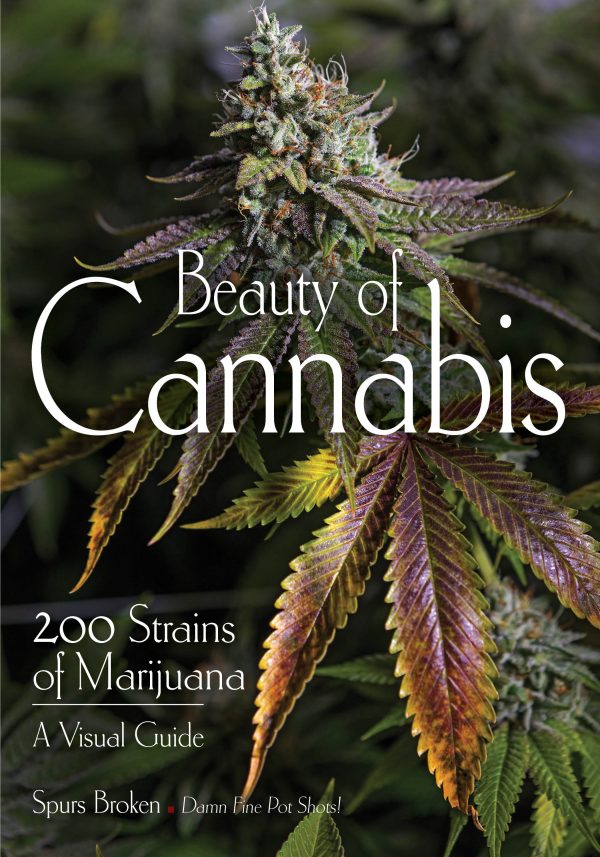 Front Cover of Beauty of Cannabis by Spurs Broken (Amherst Media)
