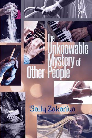 Cover-The Unknowable Mystery of Other People by Sally Zakariya