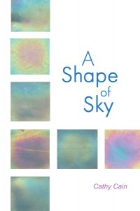 Front cover of A Shape of Sky