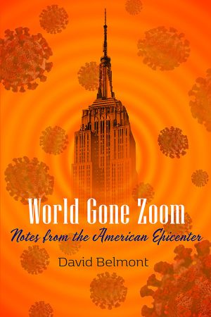 Front Cover of World Gone Zoom