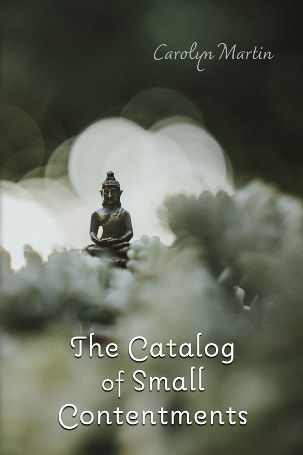 The Catalog of Small Contentments