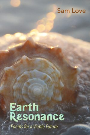 Front book cover of Earth Resonance showing conch shell in the ocean and sunlight shimmering