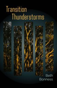 Cover-TransitionThunderstorms