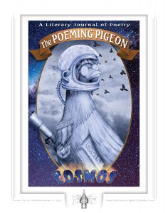 Fine Art Print of The Poeming Pigeon: Cosmos