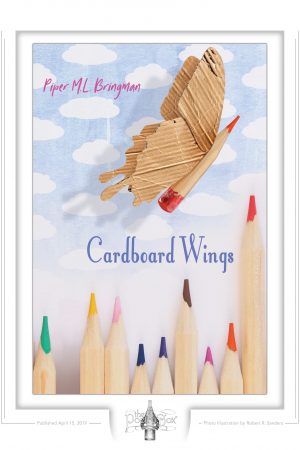 Cardboard Wings fine art print, original cover art by Robert R. Sanders, poems by Piper Bringman
