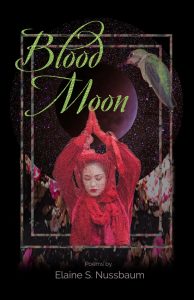 Front cover of Blood Moon