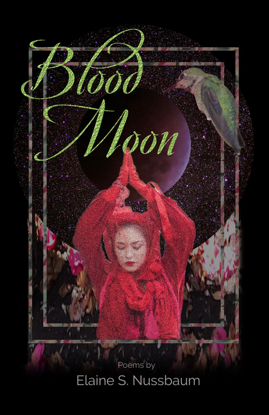 Front cover of Blood Moon