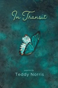 front book cover of In Transit, depicting a sole butterly aloft on a mottled turquoise background