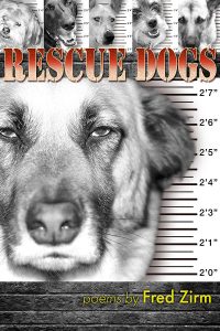 Discounted Pre-Orders for <br>Rescue Dogs