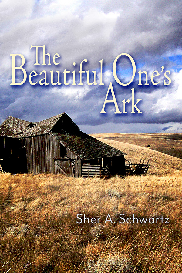 The Beautiful One's Ark