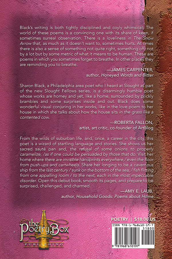 The Snow Arrow - Image 2