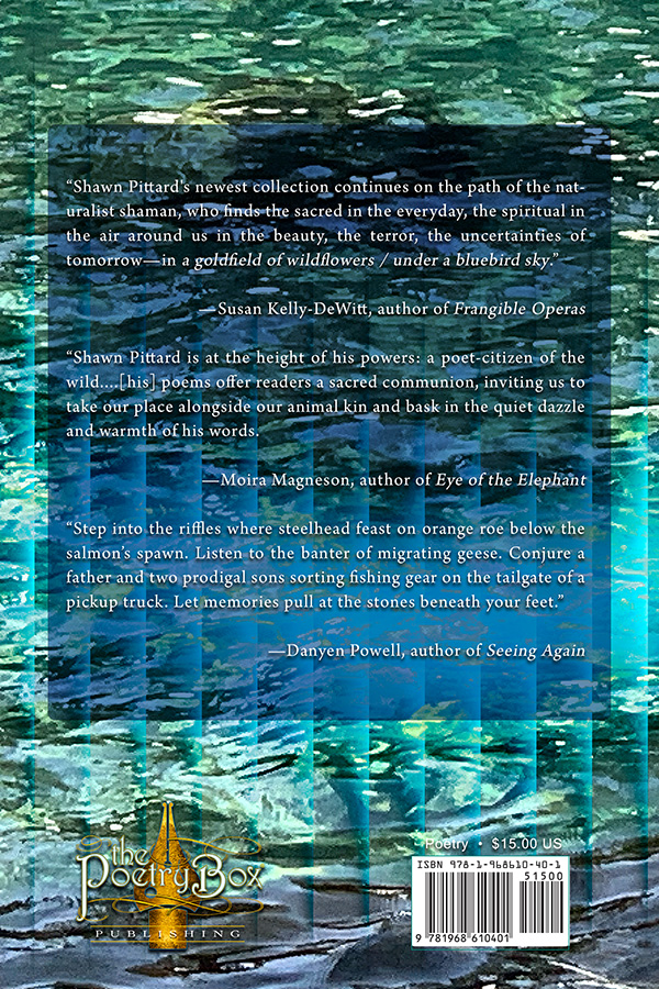 The Sound of Water - Image 2
